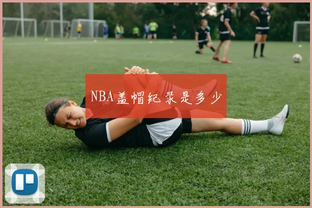 NBA盖帽纪录是多少