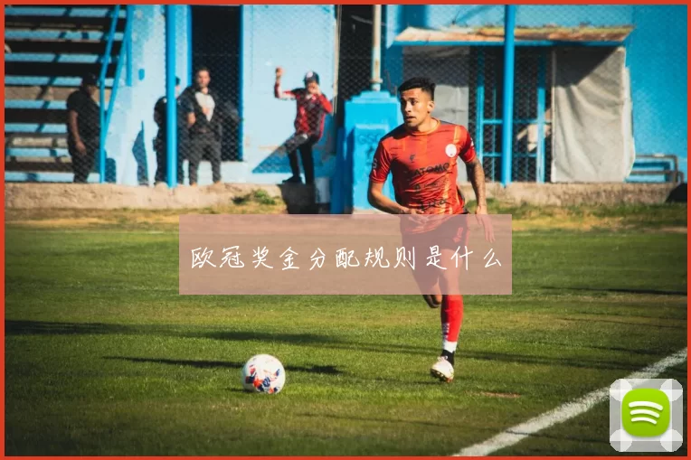 欧冠奖金分配规则是什么