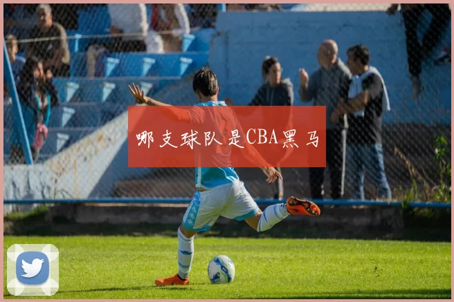 哪支球队是CBA黑马