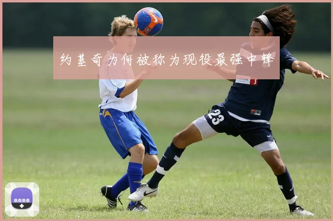 约基奇为何被称为现役最强中锋